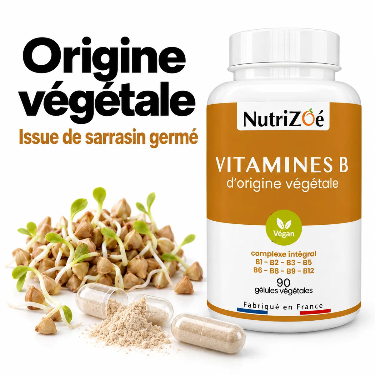 Vitamines B complexe intégral | complexe vitamines b sarrasin germe nutrizoe