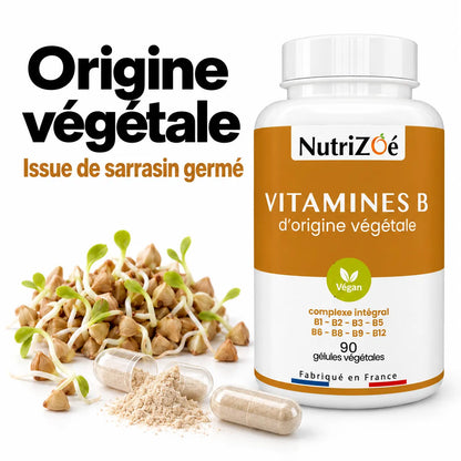 Vitamines B complexe intégral | complexe vitamines b sarrasin germe nutrizoe