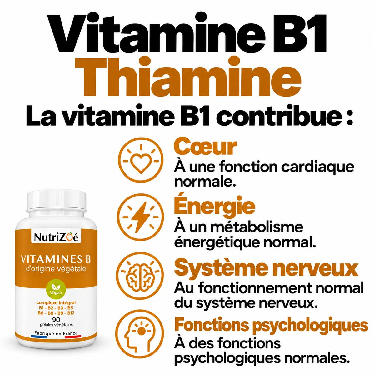 Vitamines B complexe intégral | complexe vitamines b1 bienfaits coeur nutrizoe