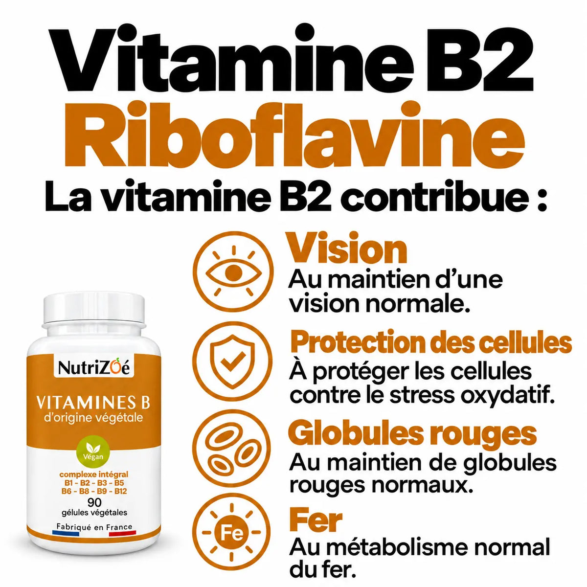 Vitamines B complexe intégral | complexe vitamines b2 bienfaits vision cellules nutrizoe