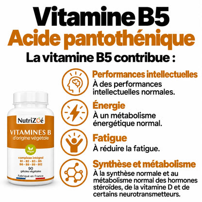 Vitamines B complexe intégral | complexe vitamines b5 bienfaits performances intellectuelles nutrizoe